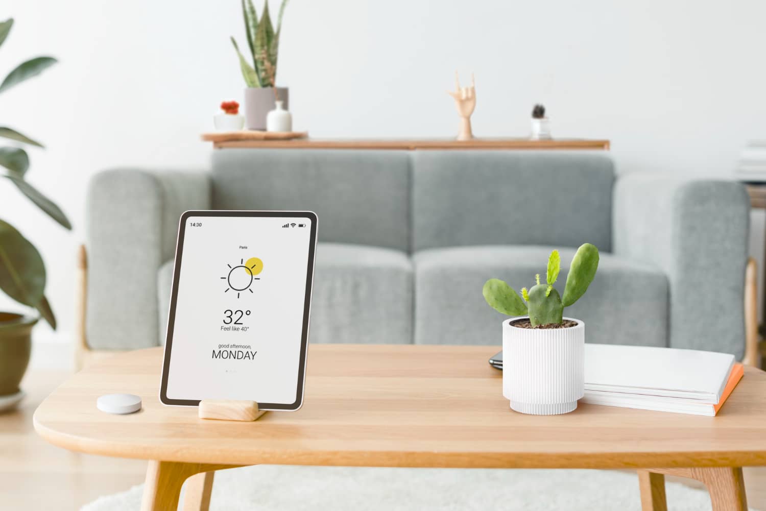Biophilic Tech คือหนึ่งในสไตล์ตกแต่งบ้านยอดนิยมปี 2025