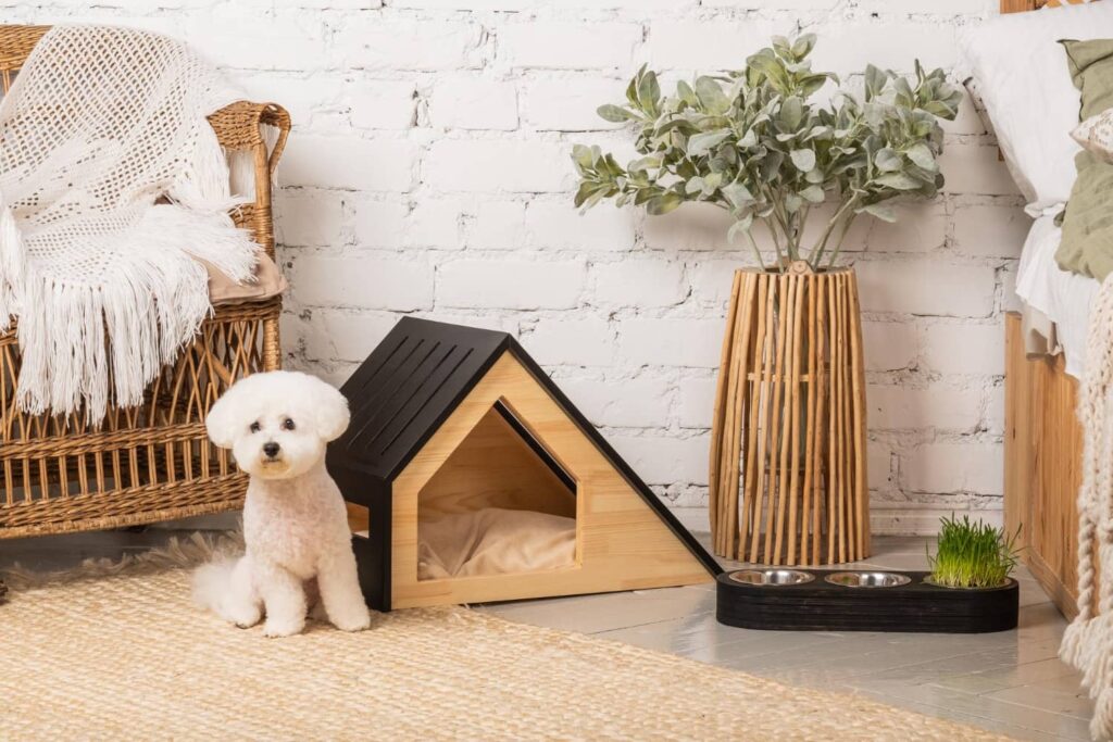 Pet-Friendly House ที่ดีควรมีมุมส่วนตัวให้กับสัตว์เลี้ยง